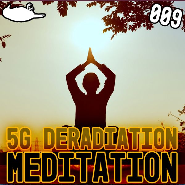 EP 009 - 5G Deradiation Meditation
