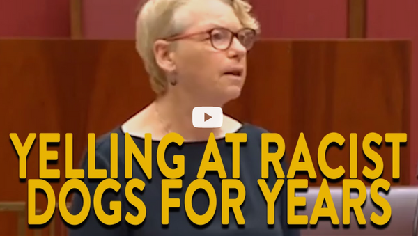 YELLING AT RACIST DOGS FOR YEARS